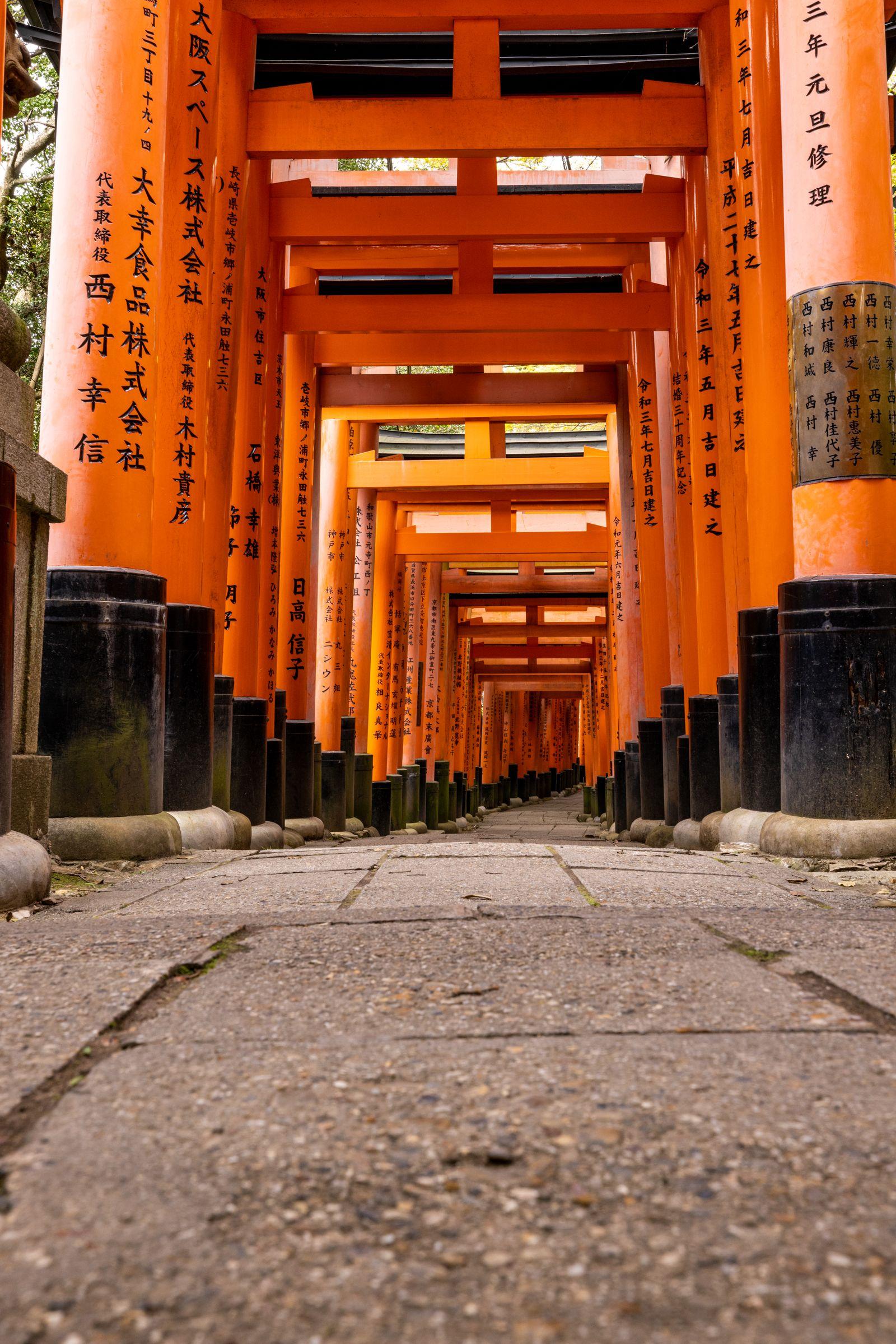 Corée du Sud & Japon — 1